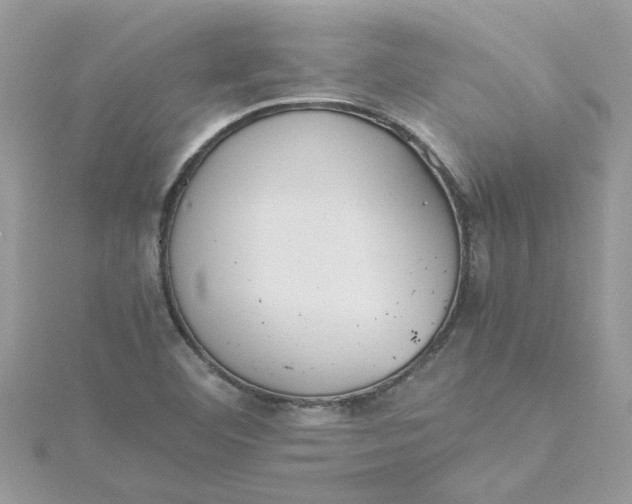 X0000115181460200911181417