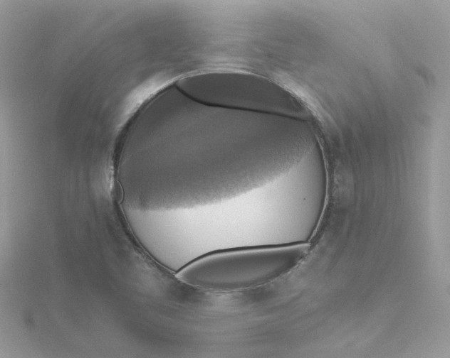 X0000115181461200911181417