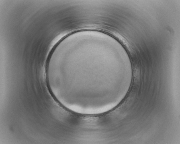 X0000115181466200911181417