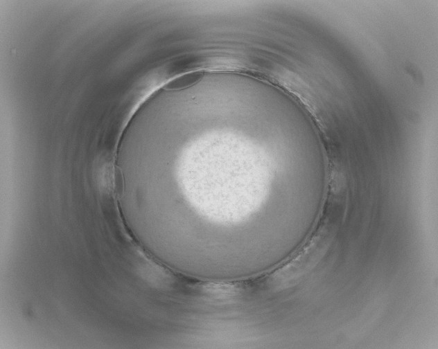 X0000115181473200911181417