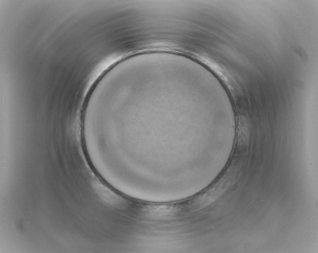 X0000115181474200911181417