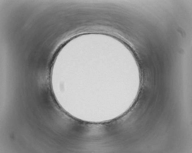 X0000115181498200911181416