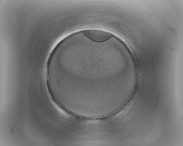 X0000115181519200911181416