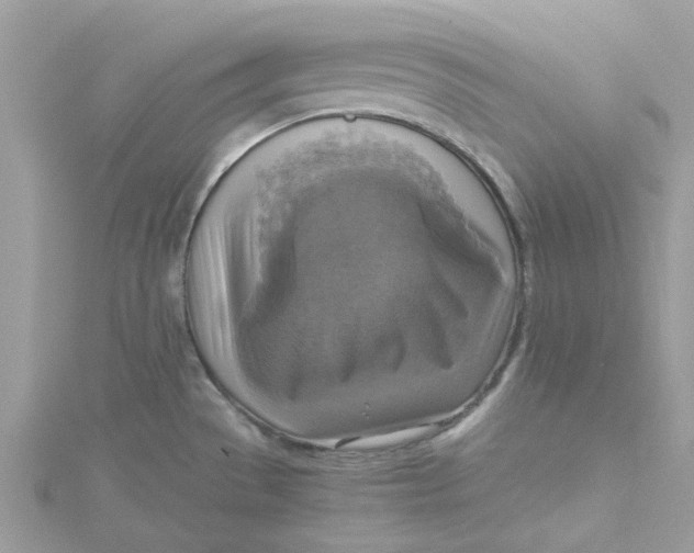 X0000115181529200911181416