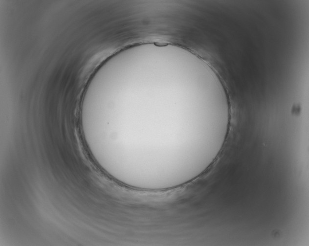 X0000115180001200911251407