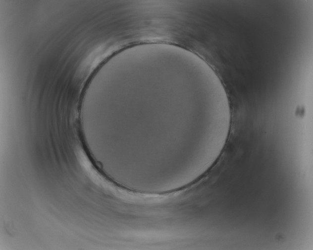 X0000115180002200911251407