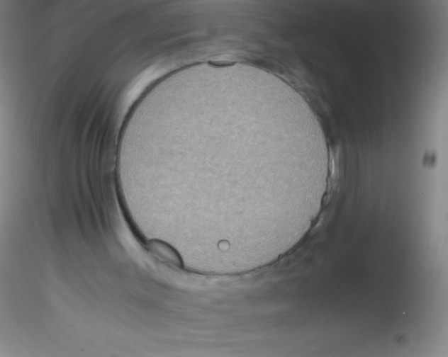 X0000115180003200911251407