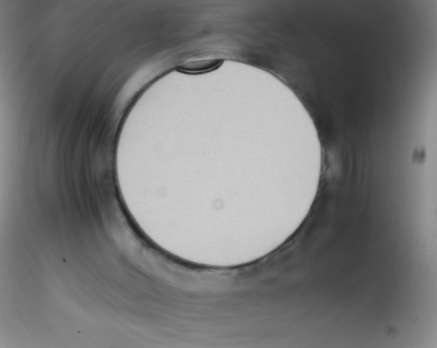 X0000115180004200911251407