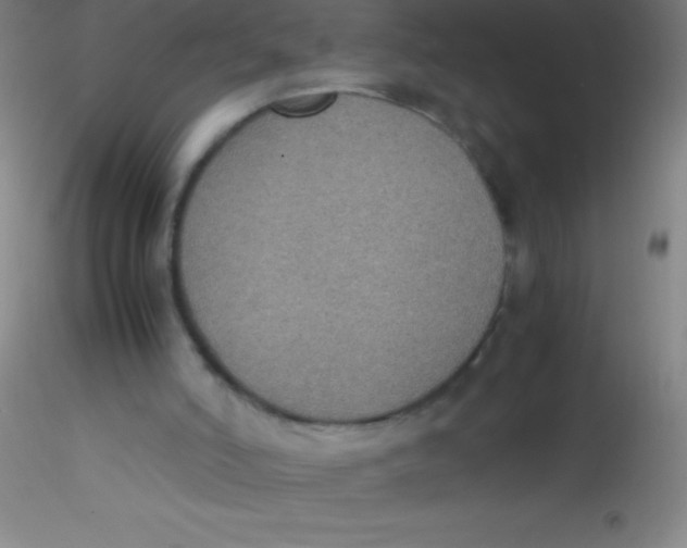 X0000115180006200911251407