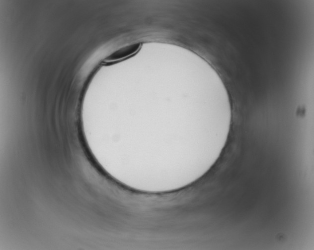 X0000115180007200911251407