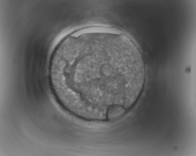 X0000115180008200911251407