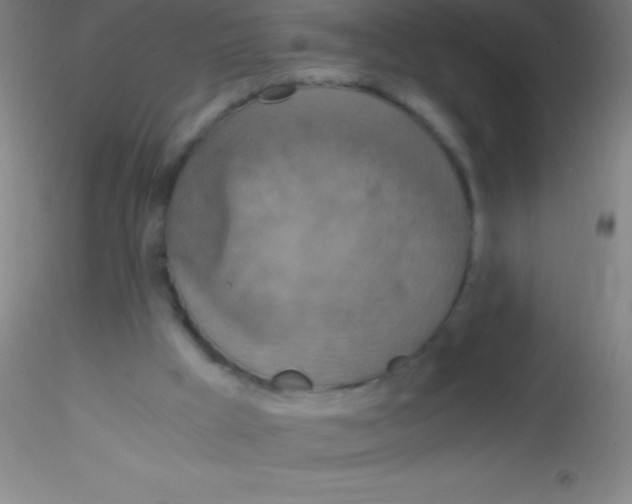 X0000115180009200911251407