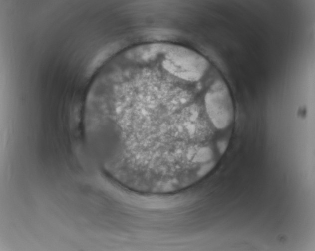 X0000115180010200911251407