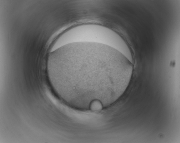 X0000115180012200911251407