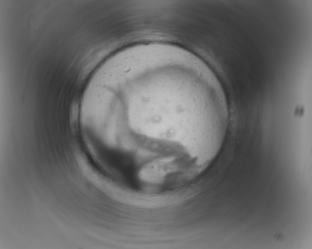 X0000115180014200911251407