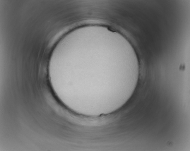 X0000115180015200911251407