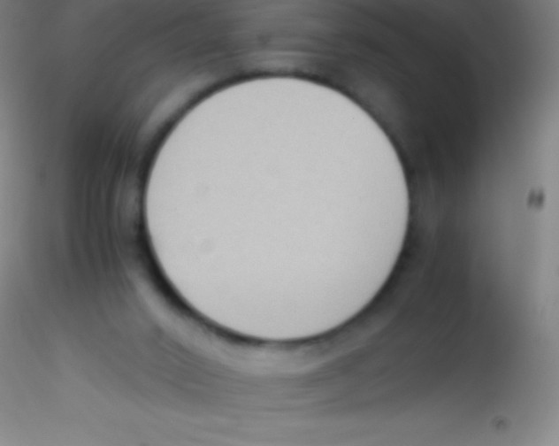 X0000115180016200911251407