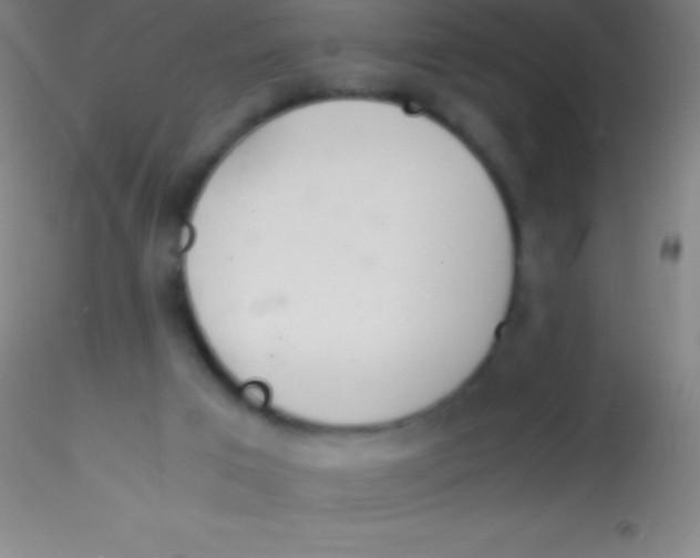 X0000115180017200911251407