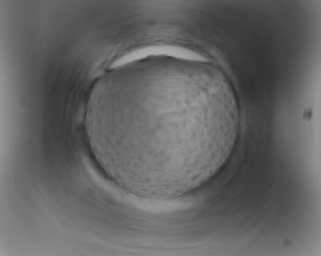 X0000115180018200911251407