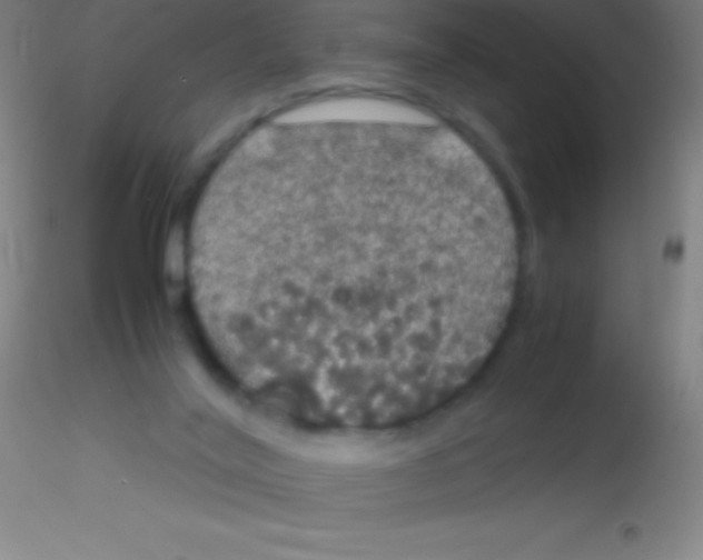 X0000115180020200911251407