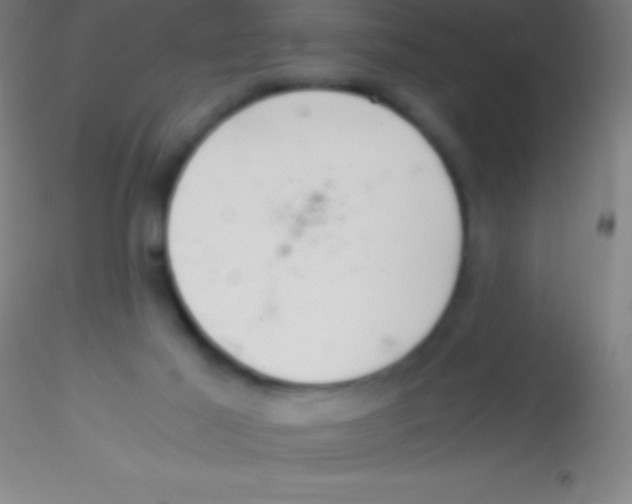 X0000115180021200911251407
