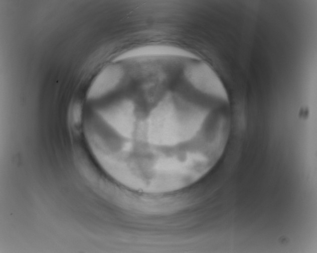 X0000115180022200911251407