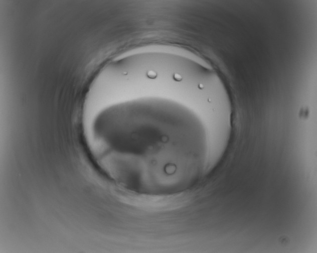 X0000115180023200911251407