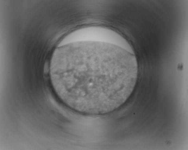 X0000115180024200911251407