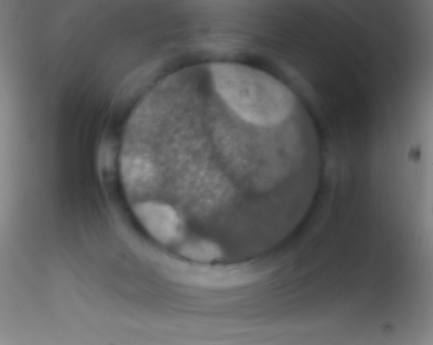 X0000115180026200911251407
