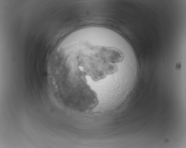 X0000115180028200911251407