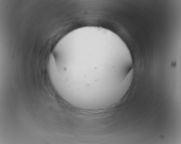 X0000115180029200911251407