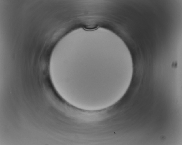 X0000115180031200911251407