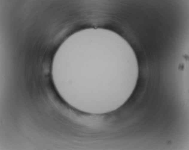 X0000115180032200911251407
