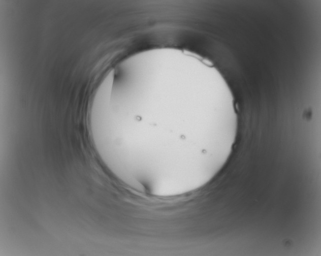 X0000115180035200911251407