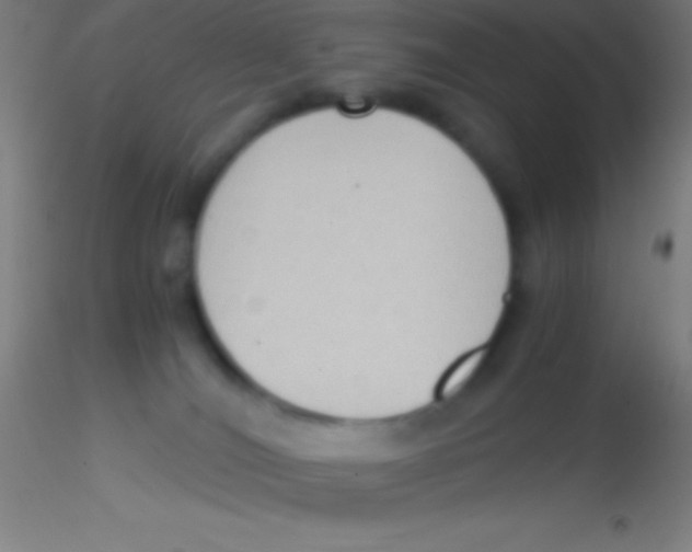 X0000115180036200911251407