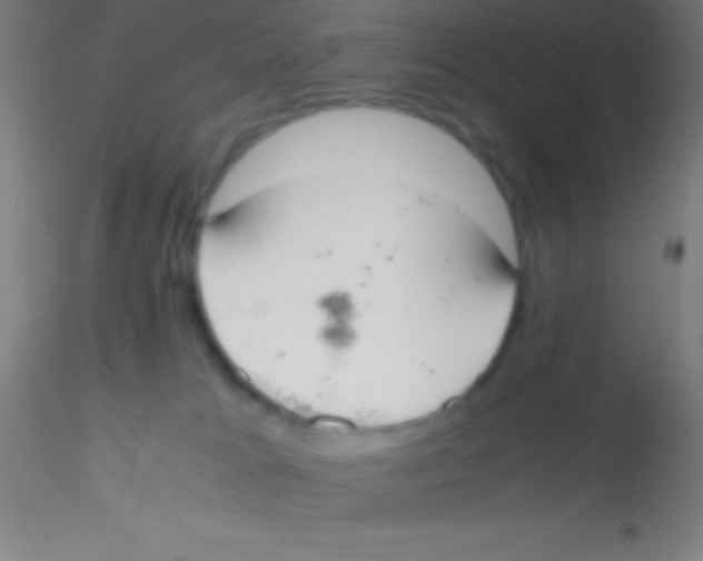 X0000115180037200911251407