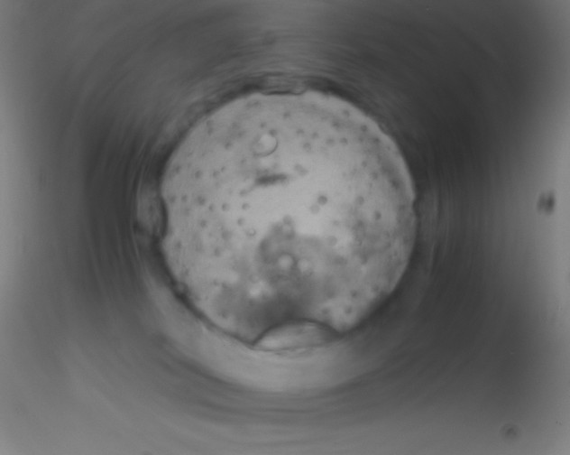 X0000115180038200911251407