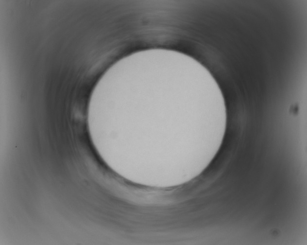 X0000115180040200911251407