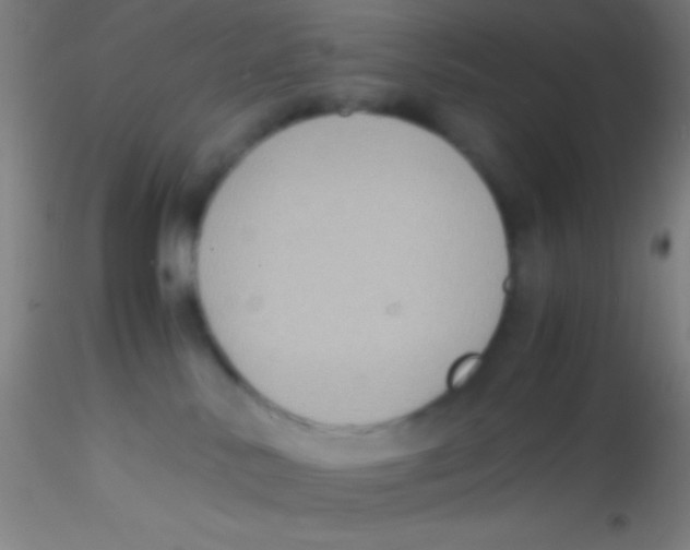 X0000115180042200911251407