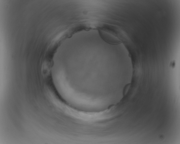 X0000115180043200911251407