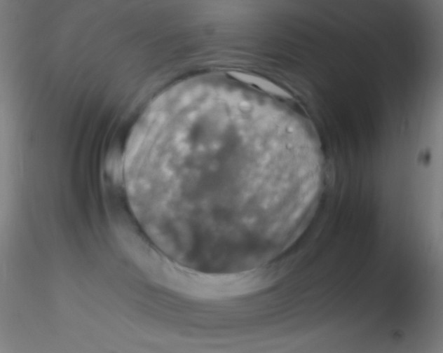 X0000115180046200911251407