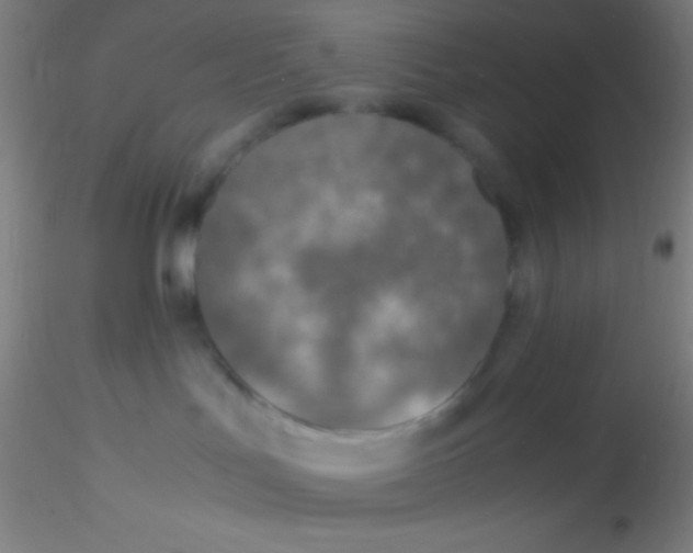 X0000115180047200911251407