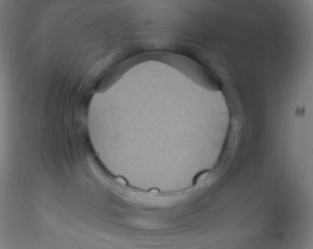 X0000115180048200911251407