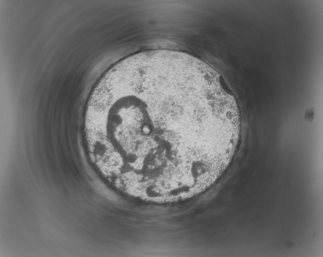 X0000115180049200911251406