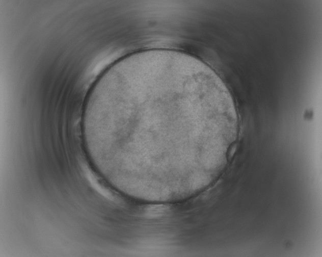 X0000115180050200911251406