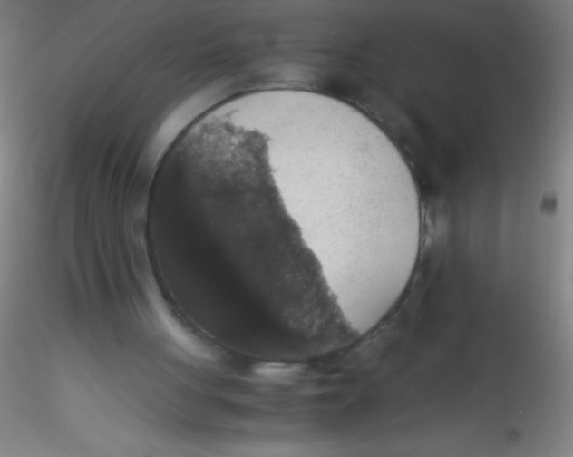 X0000115180051200911251406