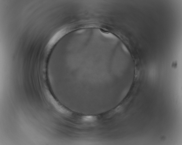 X0000115180053200911251406