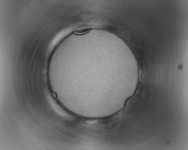X0000115180054200911251406
