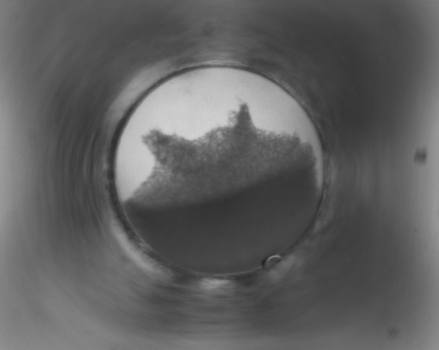 X0000115180055200911251406