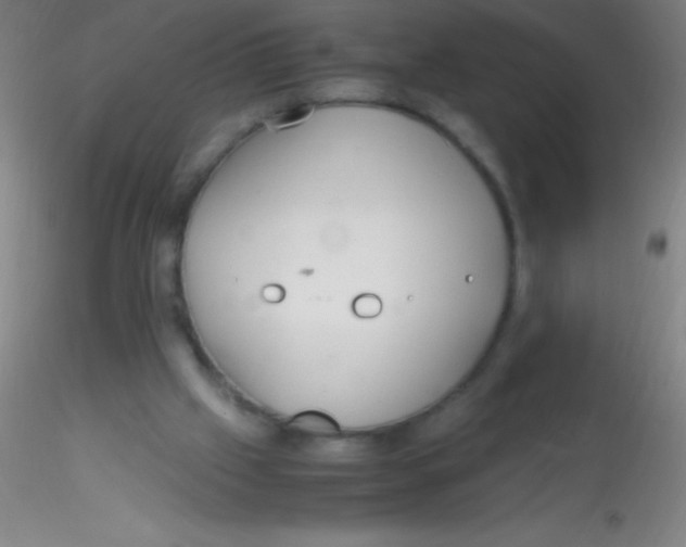 X0000115180057200911251406